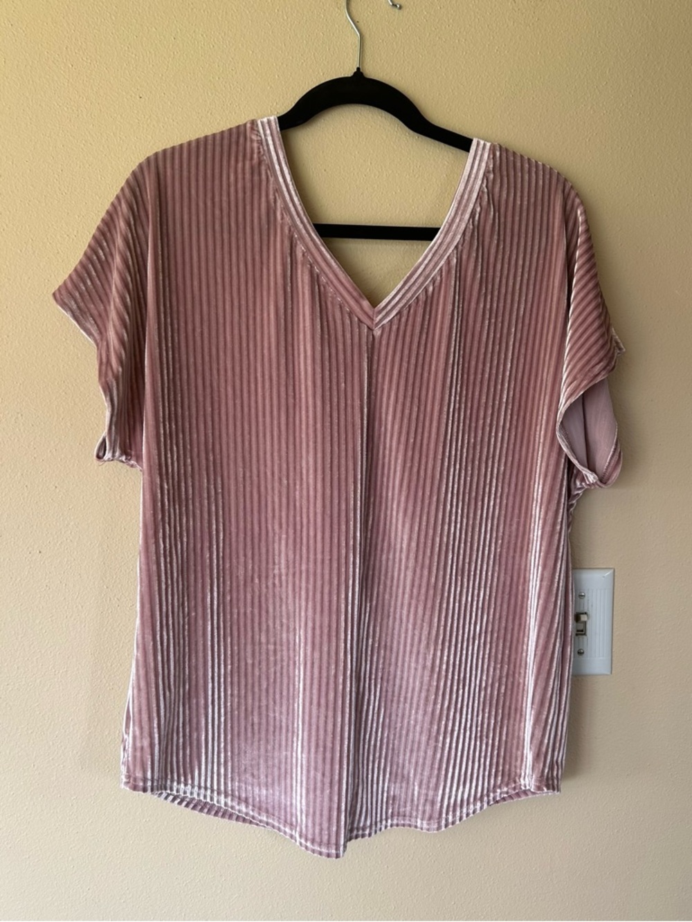 📦LAST CHANCE DONATING📦 She + Sky | Mauve Velvet Short Sleeve Top - Picture 5 of 7